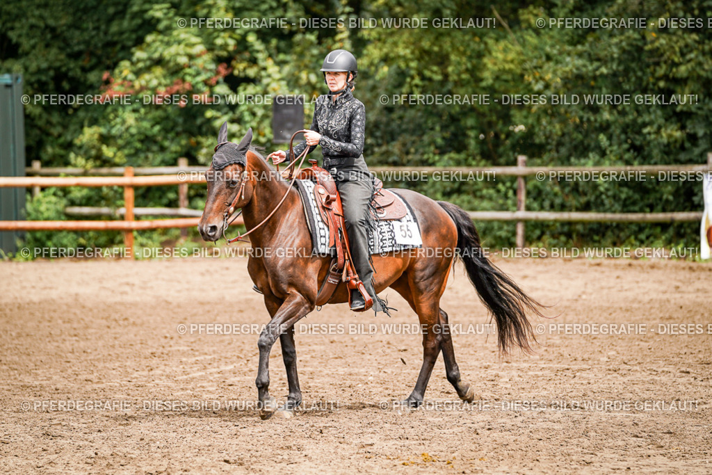 DSC04771 | Pferdegrafie