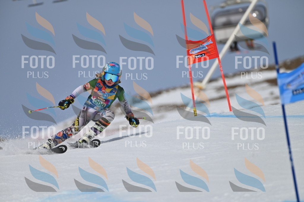 BGV_5784 | holidayphoto