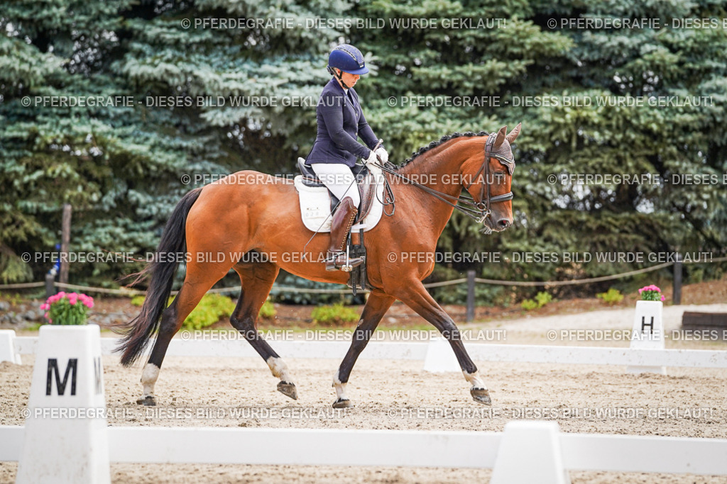 DSC03210 | Pferdegrafie