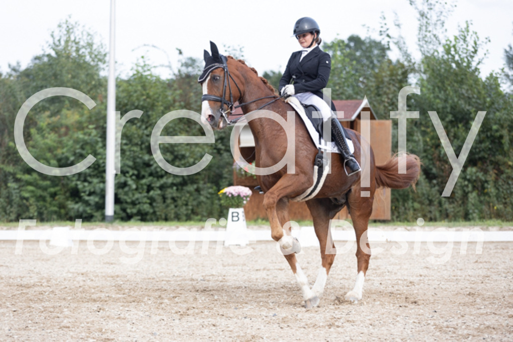 IMG_4802 | Creatify Fotografie