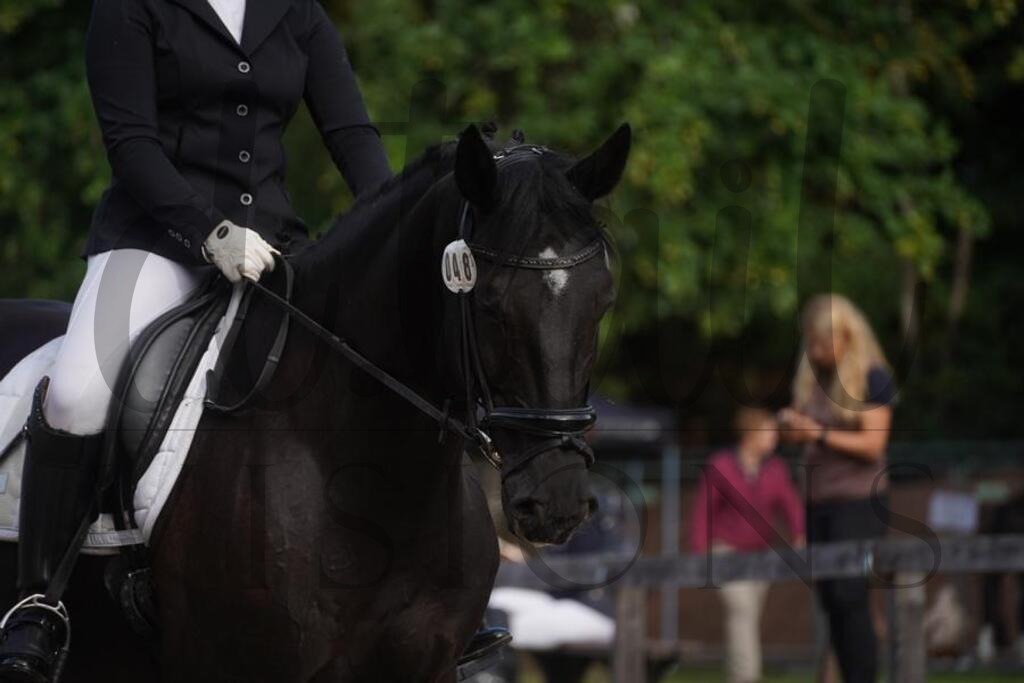 rveinoedsamstag (541) | d.tail Visions - Shop - Realisiert mit Pictrs.com