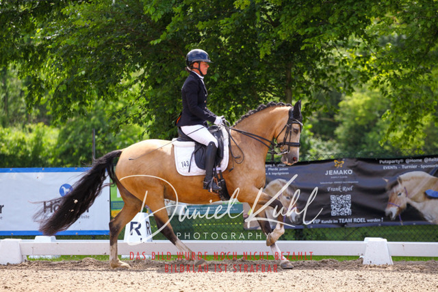 DKP40928 | Turnierfotos kaufen im Webshop von Daniel Kuhl Photography – entdecke professionelle Reitsportfotos aus Turnieren & Events. Hochwertige Turnierbilder online bestellen & sichern. Jetzt Fotos von Reitsportturnieren kaufen!