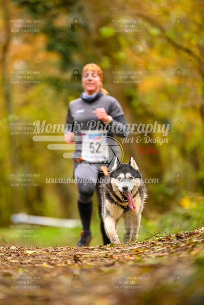 MompixPhotography_Bischwiller24_SA_Canicross-49 | mompixphotography