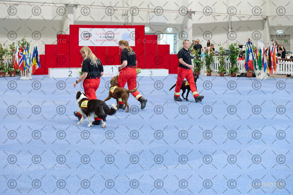 202406_ÖKV-IHA-Tulln24_DSC_4770 | proPHOTO - Realisiert mit Pictrs.com