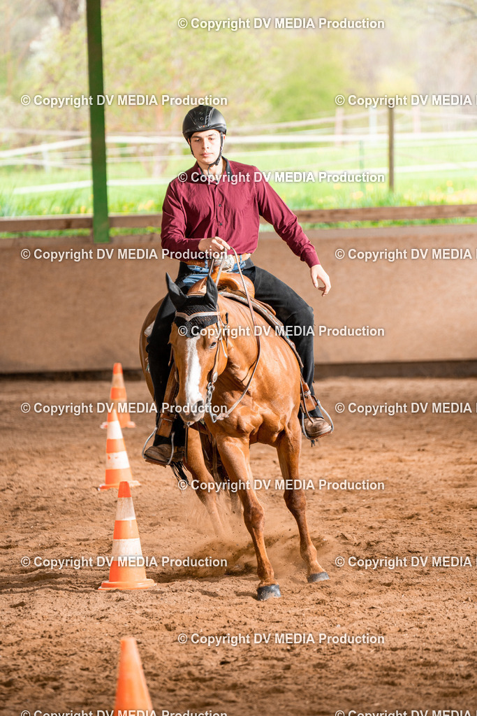 BA300924 | dv-media-shop - Realisiert mit Pictrs.com