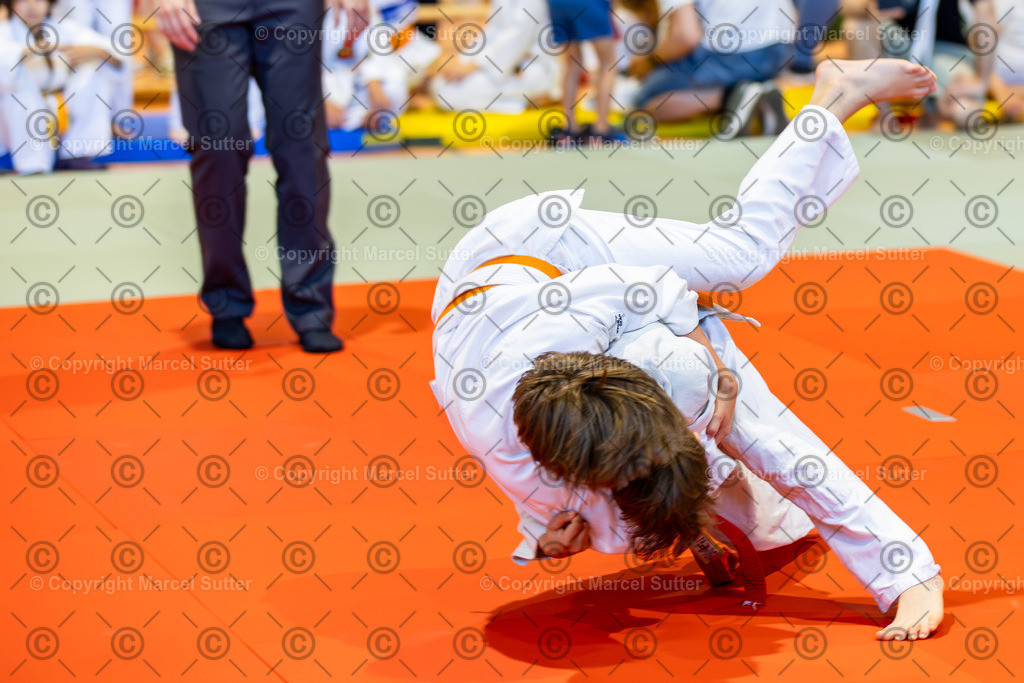 20260620-111457-_G2A9533-MarcelSutter | Finde und bestelle deine Sport- und Eventfotos in höchster Qualität. Professionelle Aufnahmen von Wettkämpfen, Veranstaltungen und Outdoor-Events – schnell und einfach online bestellen. - Realisiert mit Pictrs.com