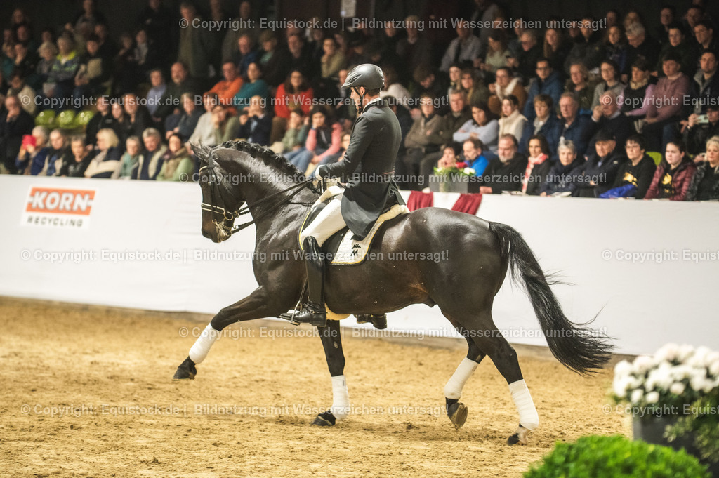 20240302_Hengstvorstellung_Marbach_TOMsPiC_1492 | equistock