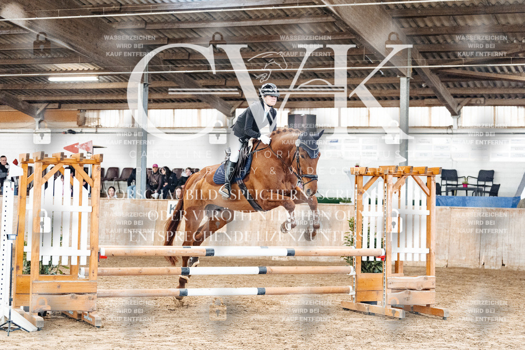 CK904083 | Turnierfotografie Pferdefotografie Trier Rheinland-Pfalz Pferdesport Reitsport Tierfotografie Sportfotografie Pferdevideo Pferdevideografie Equestrianvideography equestrianphotography  - Realized with Pictrs.com