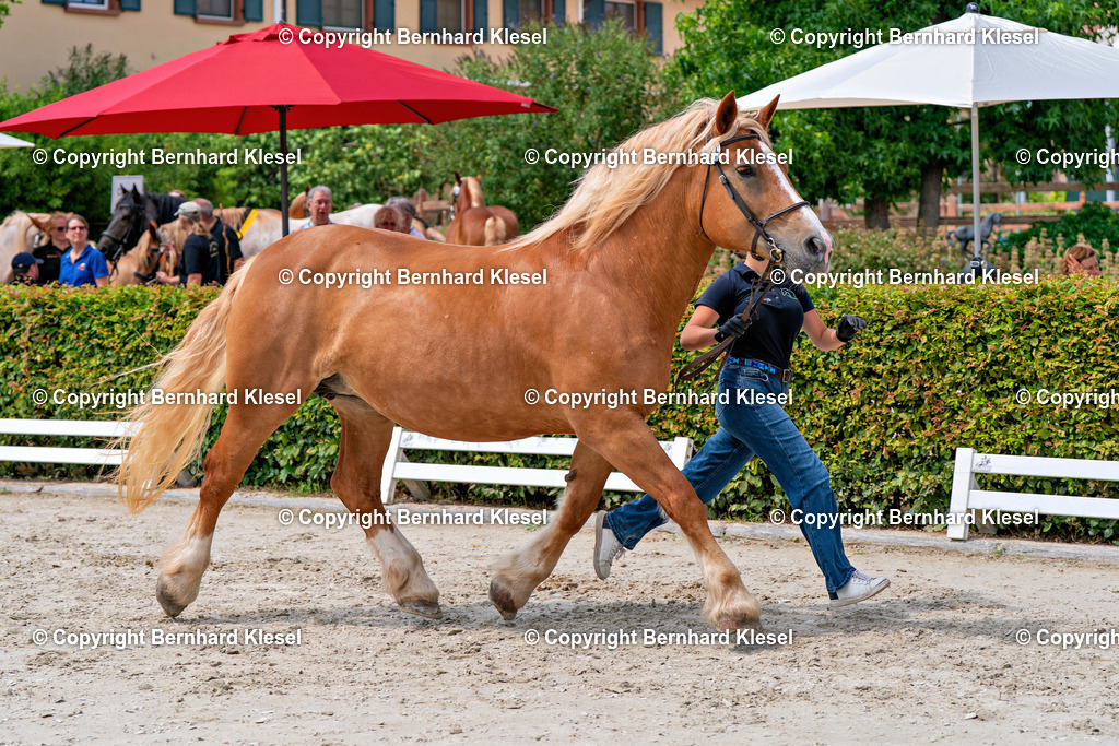 2A901327 | foto-team-bernhard - Realisiert mit Pictrs.com