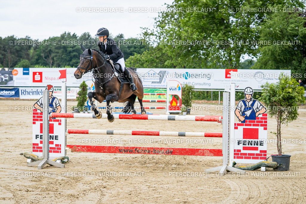 DSC04302 | Pferdegrafie