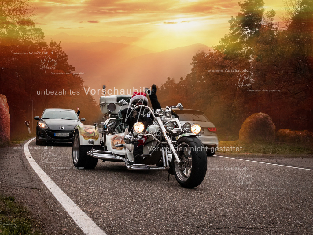 _16A2927-1 | Einzigartige Fotos von Hunden & Menschen –Actionfotos, Portraits, Vereinsaufnahmen & Paarshootings – authentisch, lebendig & mit Herz.