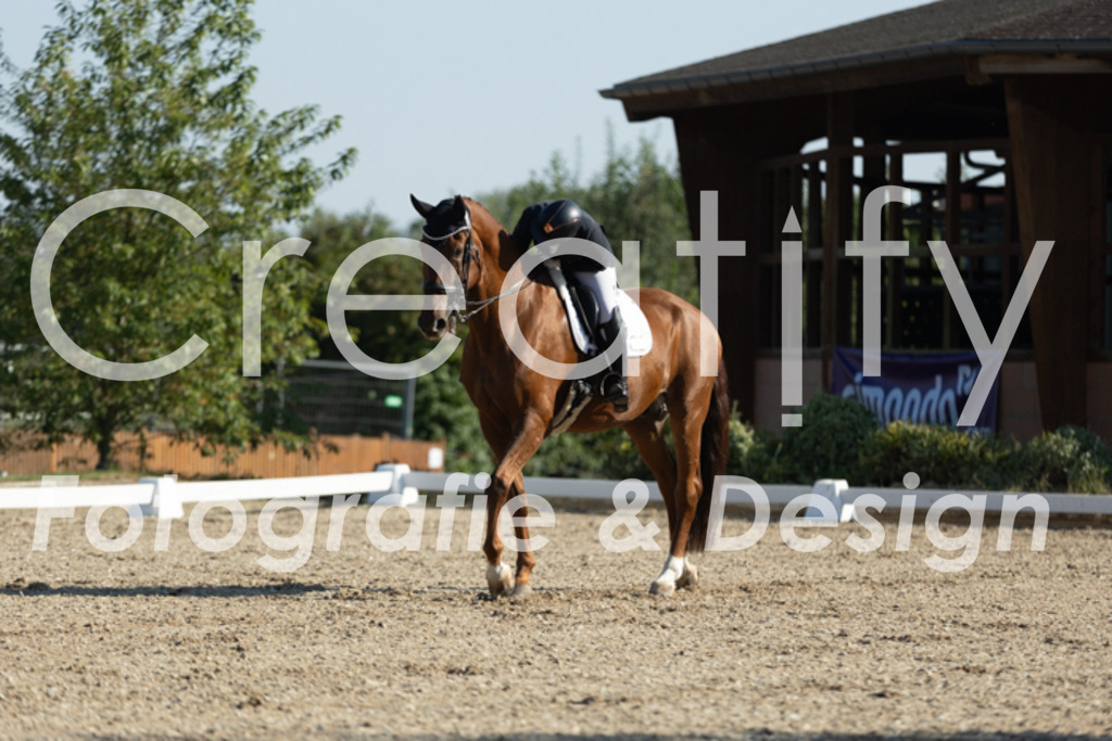 IMG_0647 | Creatify Fotografie