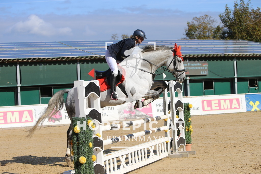 DL2Q5043 | Willkommen bei Brunnmayr - Design & Fotografie – Ihrem Spezialisten für Reitturniere und Pferdeveranstaltungen in Oberösterreich, Salzburg und Bayern! Seit über 17 Jahren sind wir leidenschaftlich dabei.