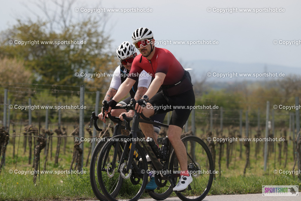 368A5737 | Neusiedlersee Radmarathon 2026@sportshot_your_pictrs #yourpictures#roadtowm2029 #nrm #neusiedlerseeradmarathon #neusiedlersee #neusiedlerseetourismus #burgenland #mörbisch #nrm26 #burgenlandtourismus #voglundco #poweredbyburgenlandtourismus #radsport #rad #marathon #ucigranfondo #visitburgenland #ucigranfondoworldseries