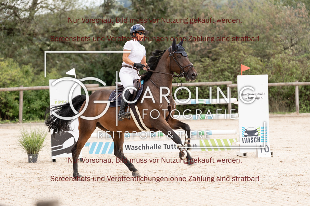 DSC06637 | Springturnier_Teamchallege_Talheim_2026, Elisabeth_Mayer, Parley