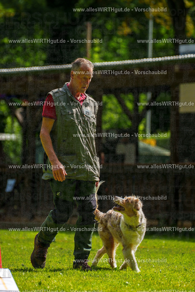 @allesWIRTHgut_Tierfotografie - www.allesWIRTHgut.de - 100115-7R507954 | Professionelle Tierfotografie in Mönchengladbach von Daniel Wirth (allesWIRTHgut). Liebevolle & natürliche Bilder von Hunden & Katzen für unvergessliche Erinnerungen.
