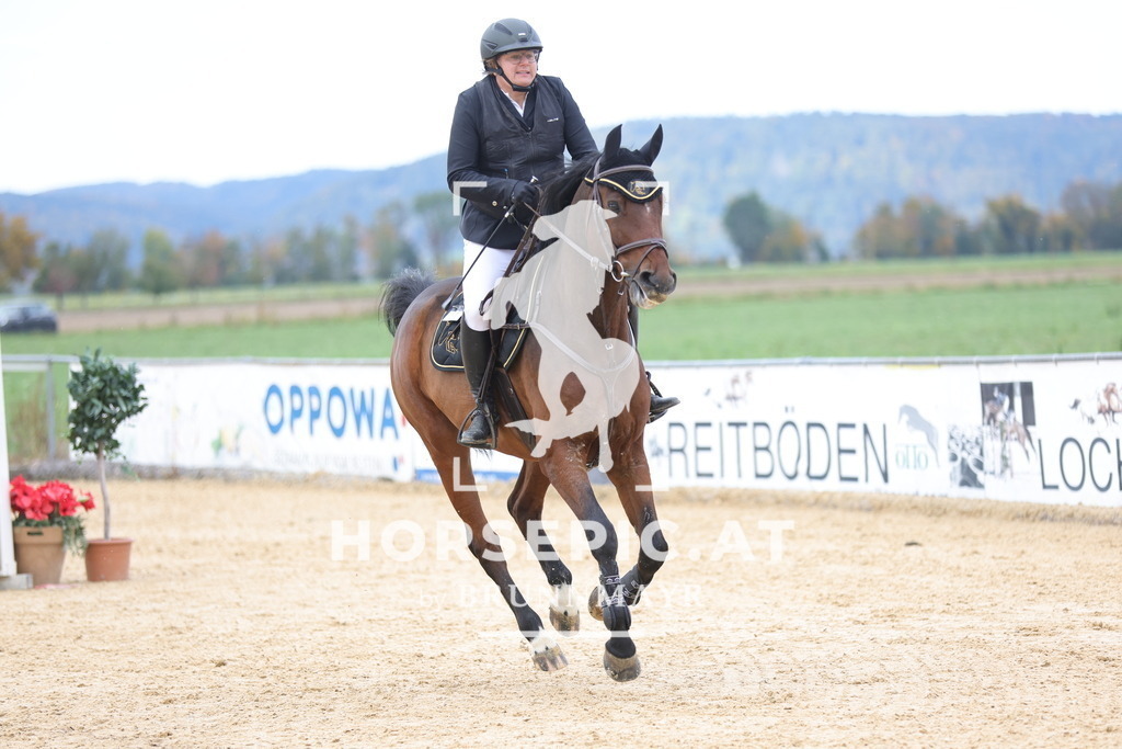 0P6A9037 | Willkommen bei Brunnmayr - Design & Fotografie – Ihrem Spezialisten für Reitturniere und Pferdeveranstaltungen in Oberösterreich, Salzburg und Bayern! Seit über 17 Jahren sind wir leidenschaftlich dabei.