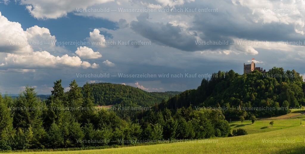 Burgruine Hohengeroldseck | Kreis Ortenau bei Lahr - Realisiert mit Pictrs.com