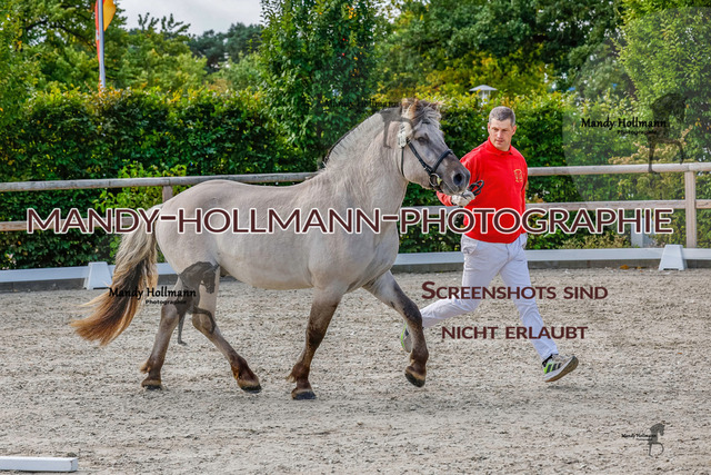 GK (655 von 759) | mandyhollmannphotographie