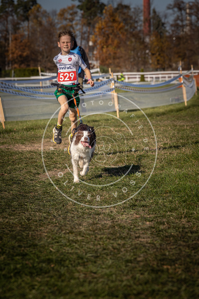CaniXpix_0L8A7327 | Hundefotografie, Tierfotograf, Pfotenfotografie, Fotoshooting Hund, Hunde Portrait, Hundesport, Hundeportraits, Heideshooting, Hunde, Sportfotograf, Hundefotograf, Turnierhundsport, THS,  - Realisiert mit Pictrs.com