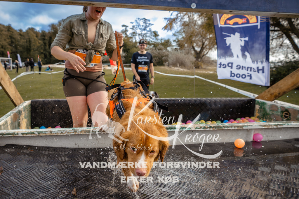 1358_ZZ93158-2 | kk-dogfotos