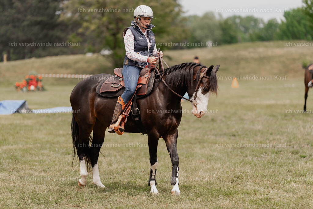 Showprogramm-91 | working equitationturnier fotograf videograf stoibphotography marixx film working equitation deutschland reitsport turnierfotografie eventfotografie equestrian events