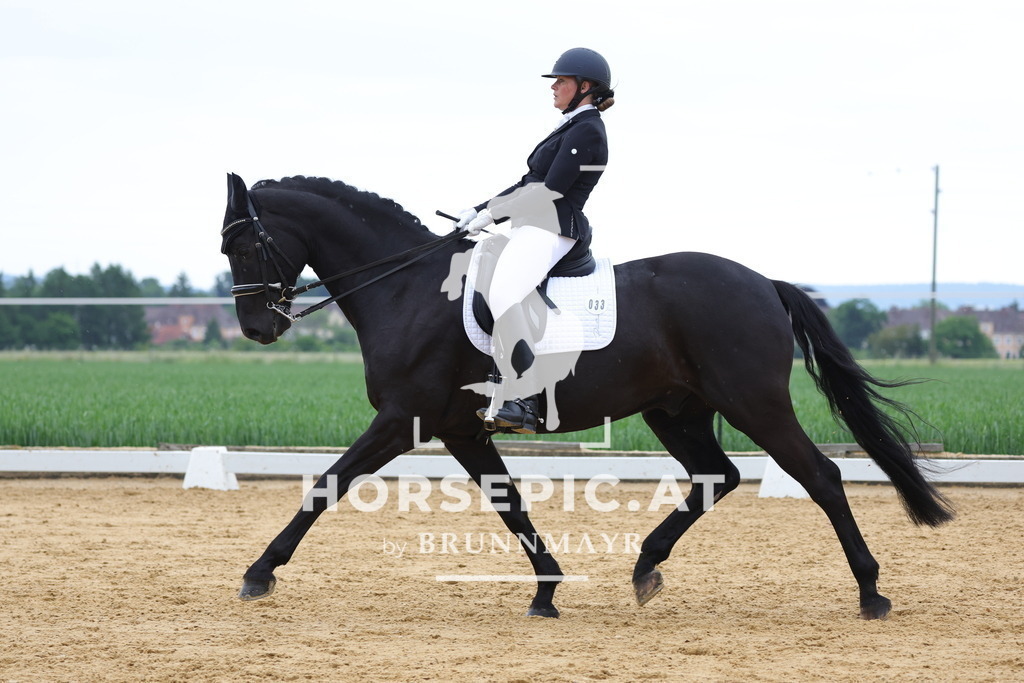 0P6A4771 | Willkommen bei Brunnmayr - Design & Fotografie – Ihrem Spezialisten für Reitturniere und Pferdeveranstaltungen in Oberösterreich, Salzburg und Bayern! Seit über 17 Jahren sind wir leidenschaftlich dabei.