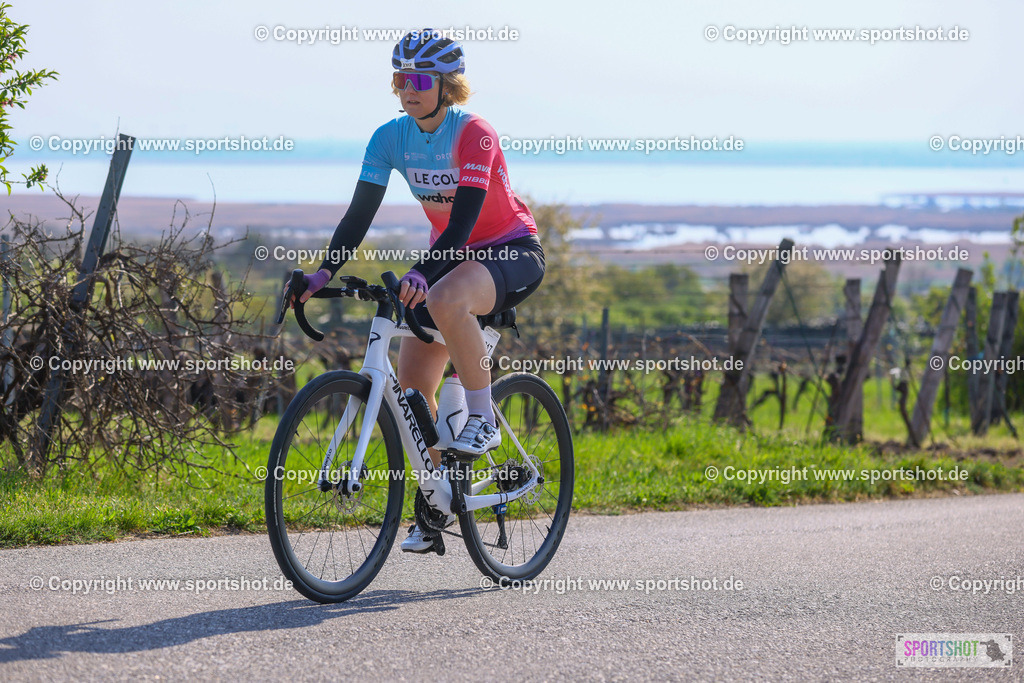 TRA_0356 | Neusiedlersee Radmarathon 2026@sportshot_your_pictrs #yourpictures#roadtowm2029 #nrm #neusiedlerseeradmarathon #neusiedlersee #neusiedlerseetourismus #burgenland #mörbisch #nrm26 #burgenlandtourismus #voglundco #poweredbyburgenlandtourismus #radsport #rad #marathon #ucigranfondo #visitburgenland #ucigranfondoworldseries