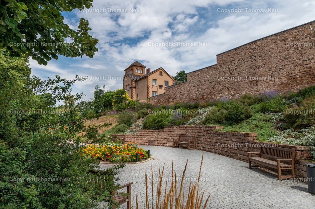 Worms-2025DSC_8735 | Die Stadtmauer bei St. Andreas in Worms gehört zu den ältesten mittelalterlichen Stadtbefestigungen Deutschlands. Gut erhaltene Sandsteinmauern und ein markantes Tor prägen dieses historische Wahrzeichen in der Wormser Altstadt.