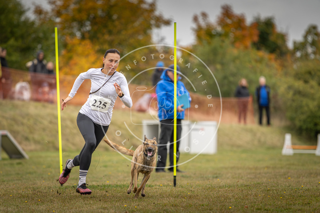 Pfotenfotografie_DV3A3934 | Hundefotografie, Tierfotograf, Pfotenfotografie, Fotoshooting Hund, Hunde Portrait, Hundesport, Hundeportraits, Heideshooting, Hunde, Sportfotograf, Hundefotograf, Turnierhundsport, THS,  - Realisiert mit Pictrs.com