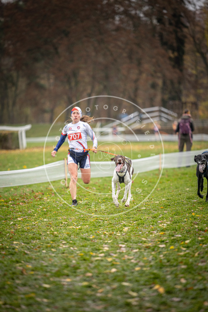 CaniXpix_DV3A9093 | Hundefotografie, Tierfotograf, Pfotenfotografie, Fotoshooting Hund, Hunde Portrait, Hundesport, Hundeportraits, Heideshooting, Hunde, Sportfotograf, Hundefotograf, Turnierhundsport, THS,  - Realisiert mit Pictrs.com