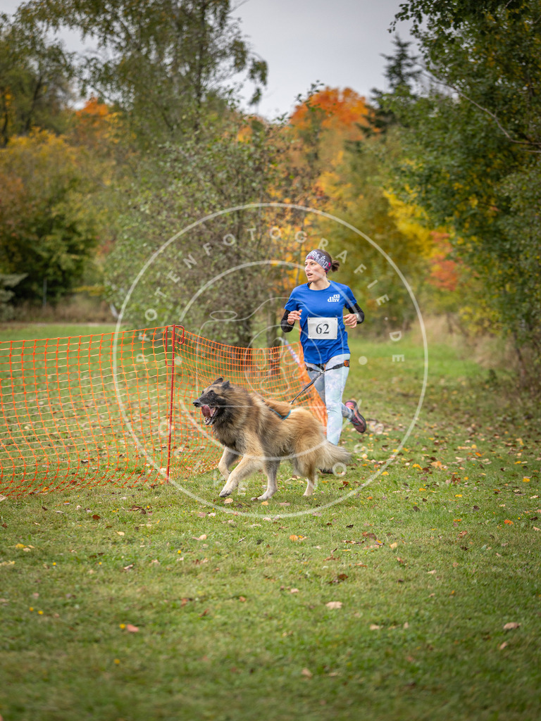 Pfotenfotografie_DV3A2693 | Hundefotografie, Tierfotograf, Pfotenfotografie, Fotoshooting Hund, Hunde Portrait, Hundesport, Hundeportraits, Heideshooting, Hunde, Sportfotograf, Hundefotograf, Turnierhundsport, THS,  - Realisiert mit Pictrs.com