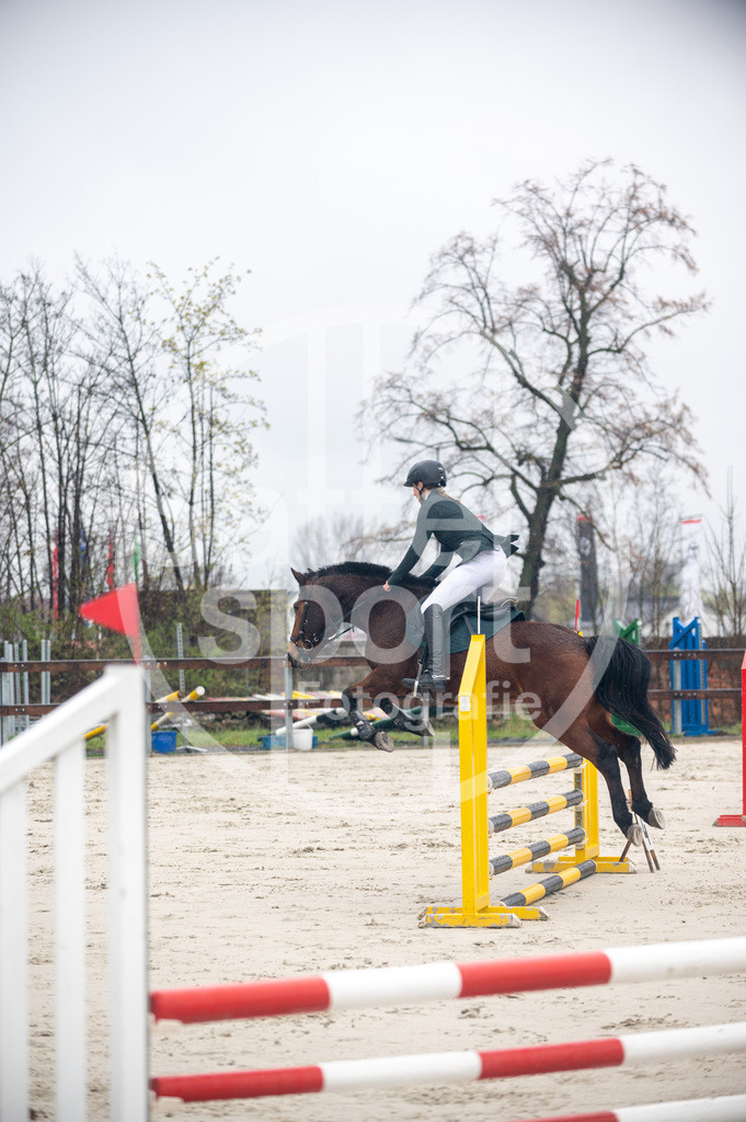 DSC_8381 | sattelsport - Realisiert mit Pictrs.com