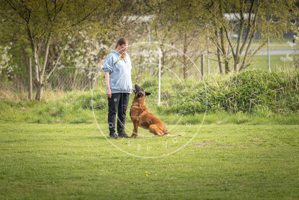 Pfotenfotografie_DV3A4972 | Hundefotografie, Tierfotograf, Pfotenfotografie, Fotoshooting Hund, Hunde Portrait, Hundesport, Hundeportraits, Heideshooting, Hunde, Sportfotograf, Hundefotograf, Turnierhundsport, THS,  - Realisiert mit Pictrs.com