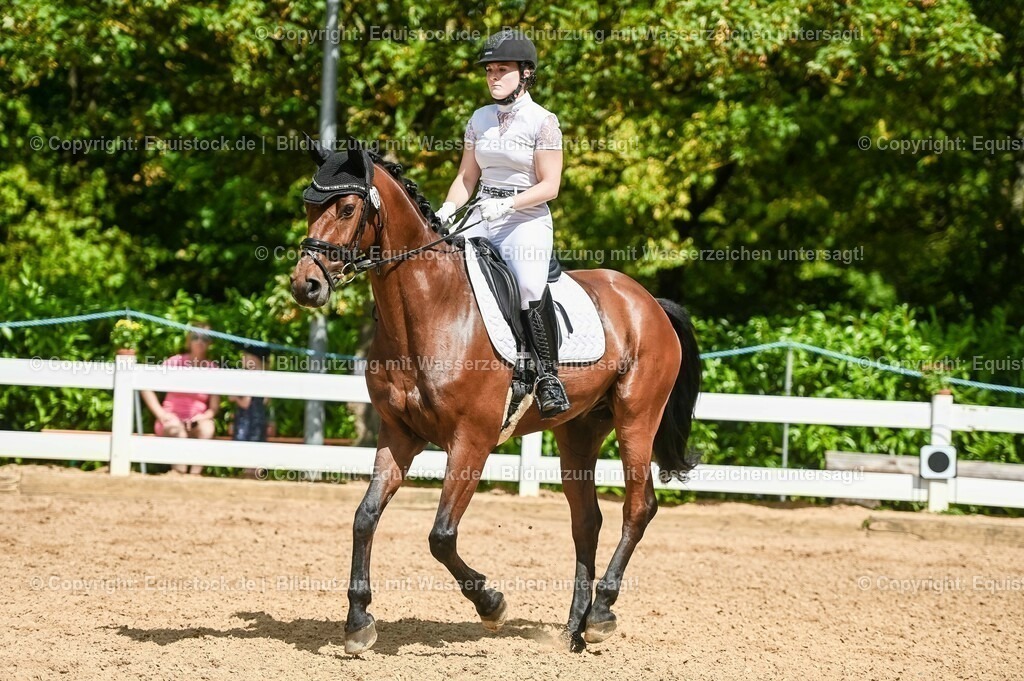 20230715_02_Dressurreiterprüfung Kl.L_0214 | equistock