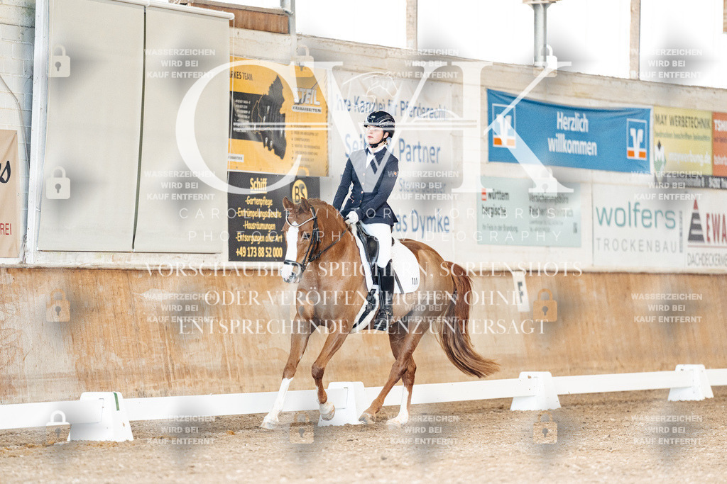 CK900785 | Turnierfotografie Pferdefotografie Trier Rheinland-Pfalz Pferdesport Reitsport Tierfotografie Sportfotografie Pferdevideo Pferdevideografie Equestrianvideography equestrianphotography  - Realisiert mit Pictrs.com