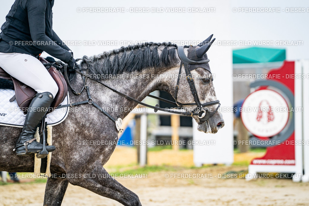 DSC00243 | Pferdegrafie