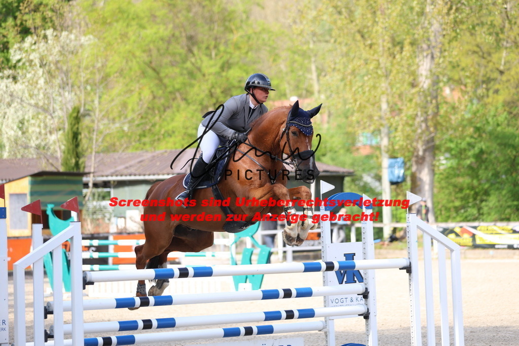 A40A2813 | lmwpictures - Realisiert mit Pictrs.com