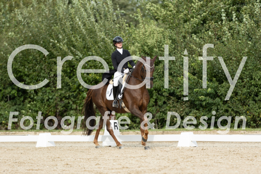 IMG_6930 | Creatify Fotografie