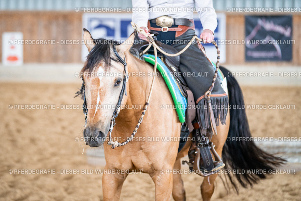 DSC07564 | Pferdegrafie