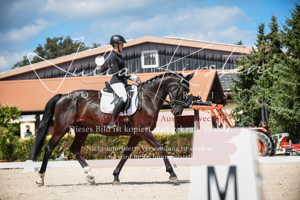 DSC_9047 | Pferde- und Turnierfotografie in Westsachsen. Pferdeportraits, Auftragszeichnungen und intuitive Kunst.