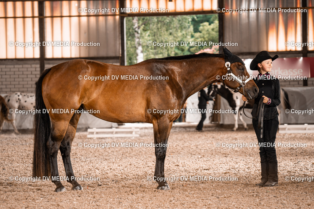 ZH200104 | dv-media-shop - Realisiert mit Pictrs.com