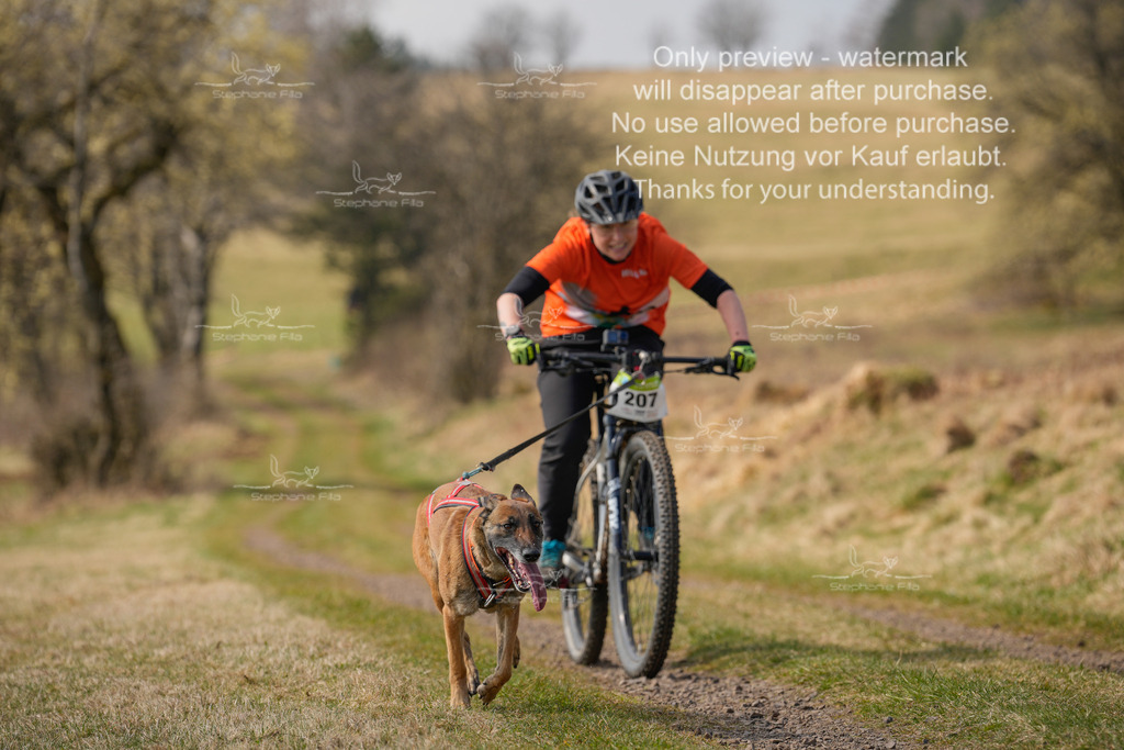 Bike_Lang-225 | stephaniefillaphotographie - Realisiert mit Pictrs.com