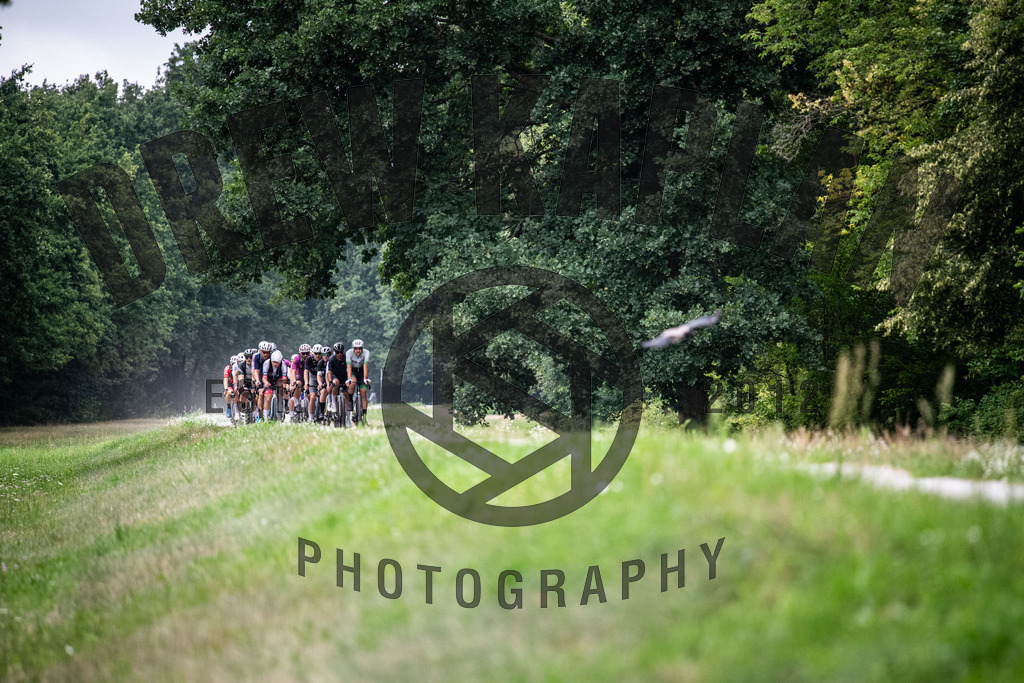 DKP-6009 | Drew Kaplan Photography