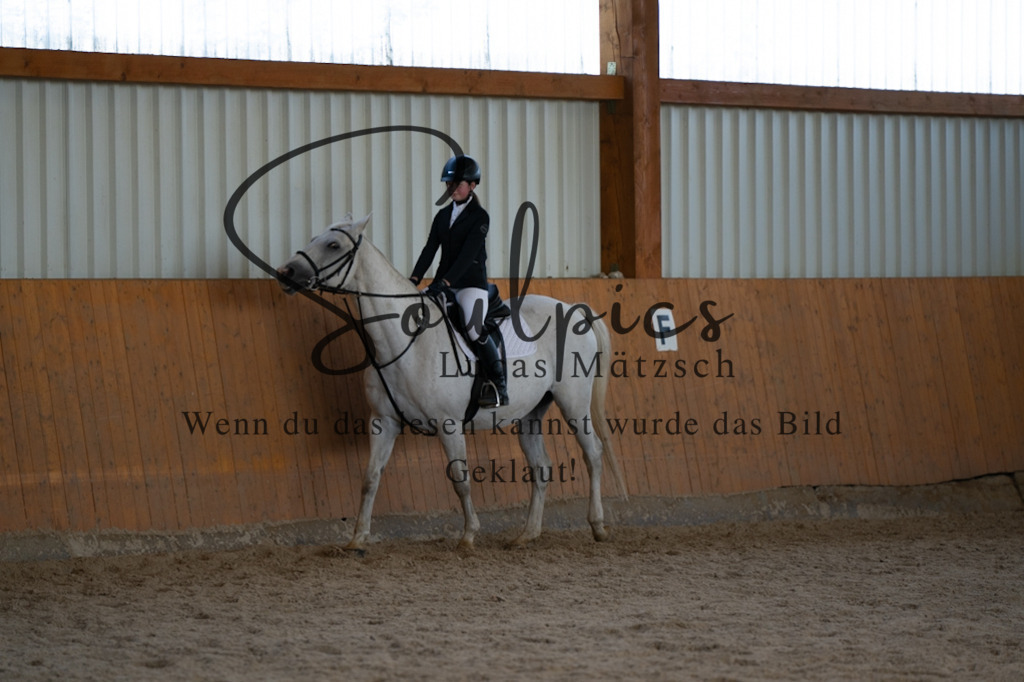 A7V02081 | Turnier/Reitfotograf