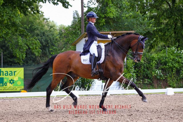 DKP41445 | Deine Turnierfotos vom Reitturnier online kaufen: Dressur, Springen & Siegerehrung. Professionelle Pferdefotografie aus dem Rheinland – als Download & Print.Alternative: Turnierfotograf für den Pferdesport: Finde deine Fotos von Dressur- und Springturnier