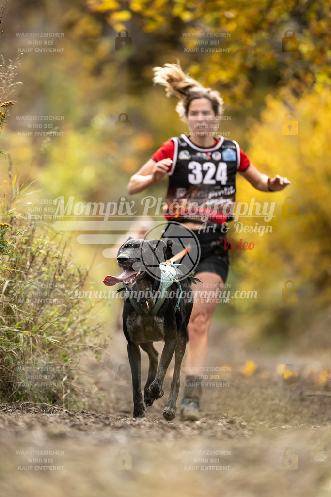 MompixPhotography_ICF_WC_2024_SA_Run_-196 | PayLife