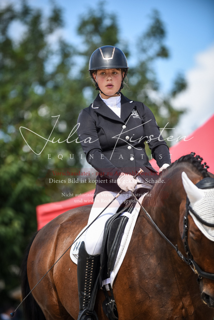 DSC_9295 | Pferde- und Turnierfotografie in Westsachsen. Pferdeportraits, Auftragszeichnungen und intuitive Kunst.