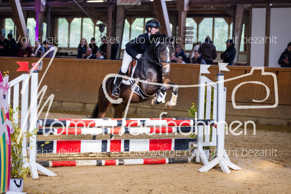 Sth-A-Springen-146 | MomenTaufnahmen Pferdesportfotos