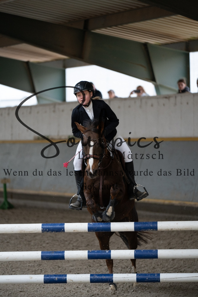 A7V07285 | Pferdefotograf